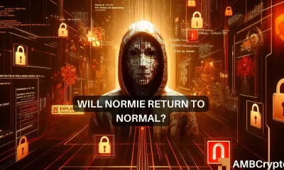 Normie crypto plummets 90% after hacker's flash loan attack