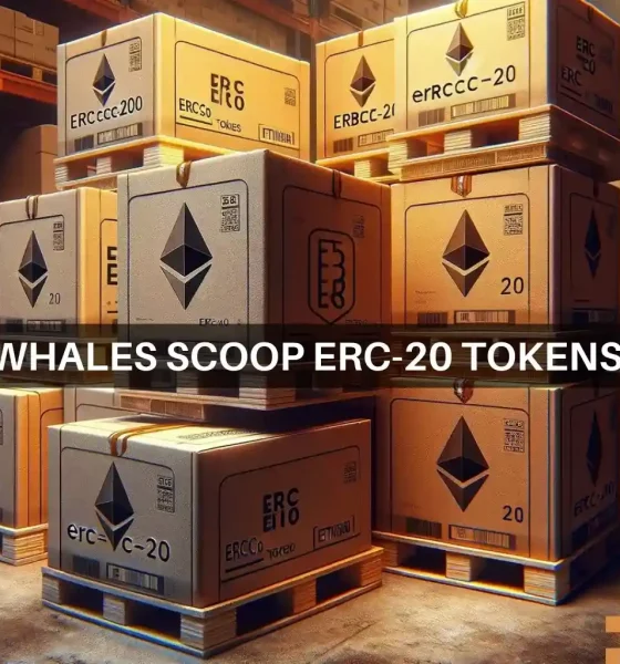 Whale invests in Ethereum: Why Pepe, LINK, UNI are in focus