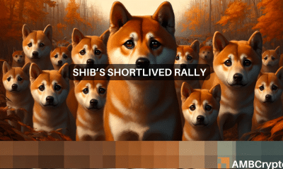 Is Shiba Inu's 10% rise going to last? What the signs say