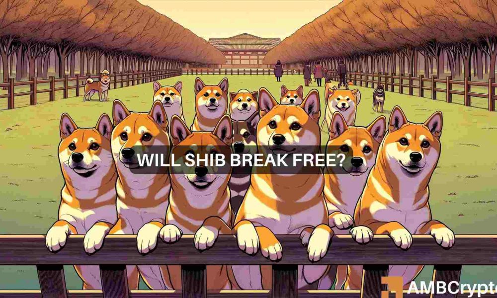 SHIB price prediction: The next move of Shiba Inu holders should be…