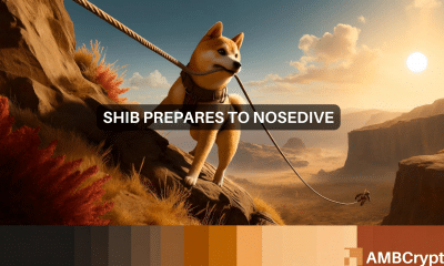 Shiba Inu's big test: Can SHIB stay above $0.00002?