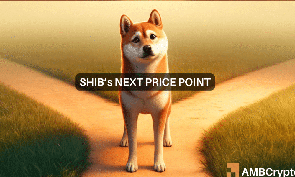 Decoding Shiba Inu’s descending triangle – Is an 18% price drop coming next?