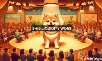 Shiba Inu bulls move towards $0.000035: Will they succeed?