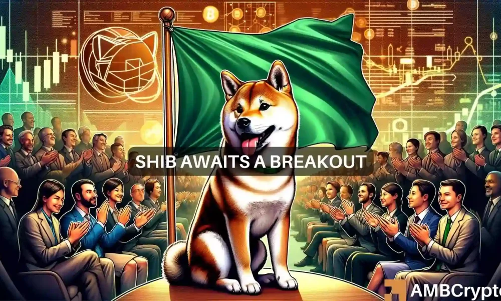 ارتفاع Shiba Inu بنسبة 10% في 7 أيام: هل سيرتفع SHIB إلى 0.00003 دولار قريبًا؟
