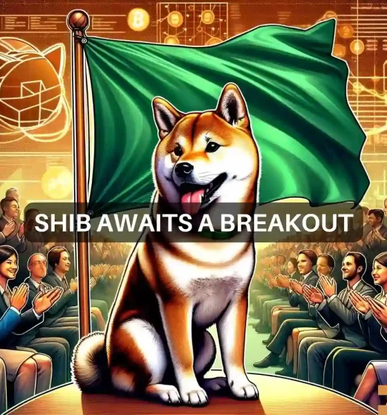 Shiba Inu rises 10% in 7 days: Will SHIB surge to $0.00003 soon?