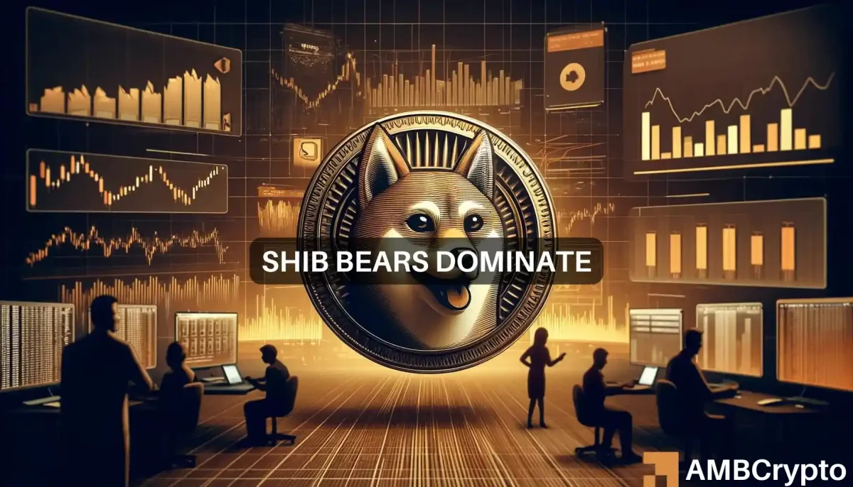 Will Shiba Inu rally beyond $0.0000259? Taking a look at SHIB's state