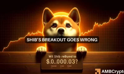 Shiba Inu's price back to its March highs? Here are the steps...