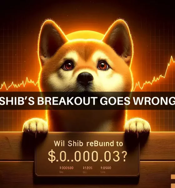 Shiba Inu's price back to its March highs? Here are the steps...