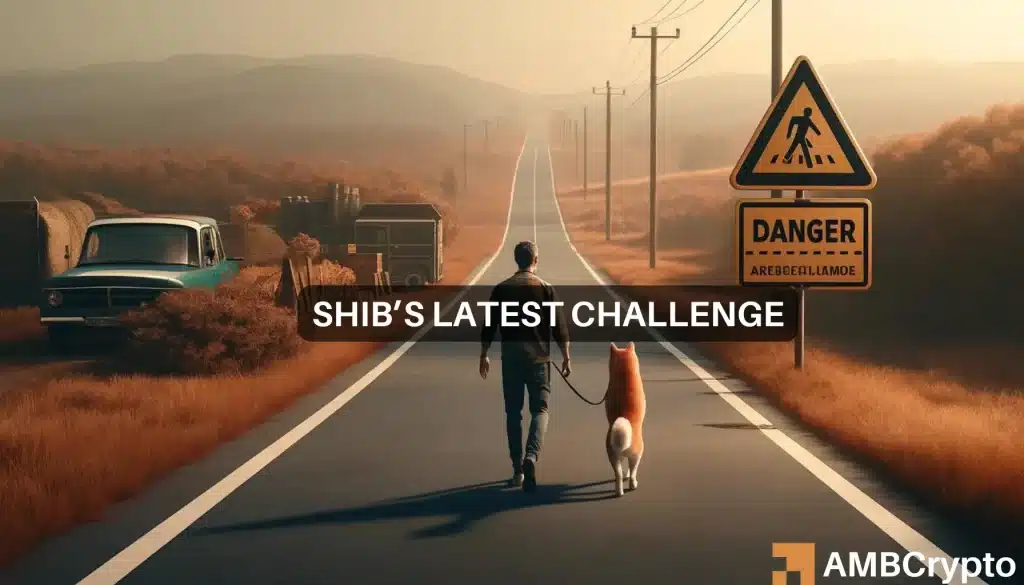 Shiba Inu price prediction - Watch out for SHIB's fall to this price target!