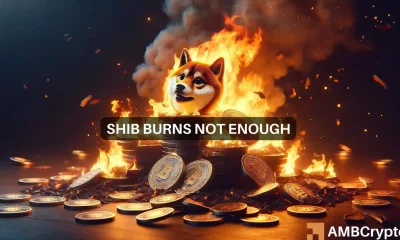 Shiba Inu burns over 1.6 Billion tokens: market impact analyzed