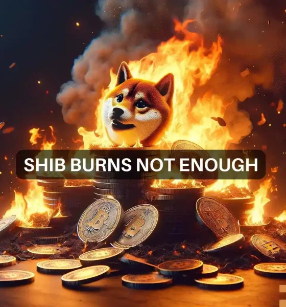 Shiba Inu burns over 1.6 Billion tokens: market impact analyzed