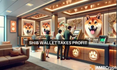 Shiba Inu whale moves 48B tokens: Was SHIB impacted?