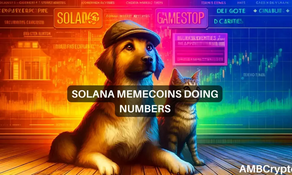 What’s next for Solana memecoins as GameStop causes historic surge?