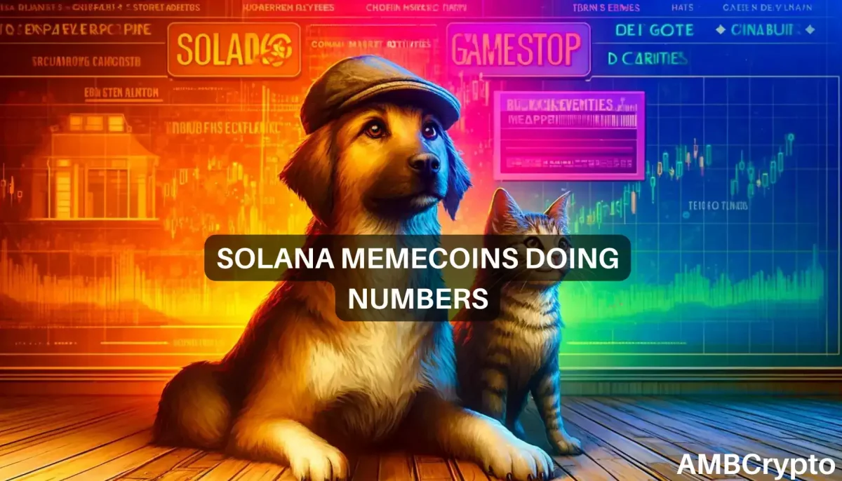 What's next for Solana memecoins as GameStop causes historic surge?