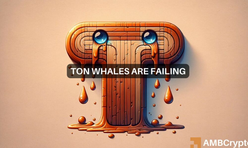 Whales flock to Toncoin despite price risks: What’s your move?