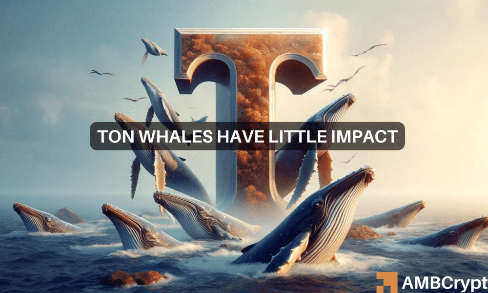 Whale watch: B in Toncoin trades shake the market, tracking what’s next