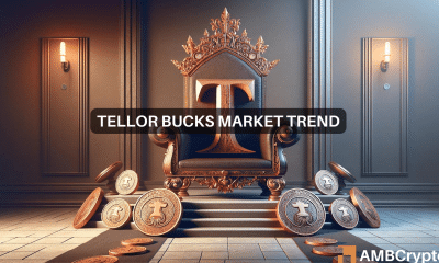 Tellor stands out with 20% rise amidst market dip: Will TRB cross $125?