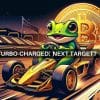 Turbo crypto price prediction