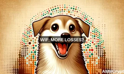dogwifhat unable to cross $3.6: Will WIF plummet to $2.4?