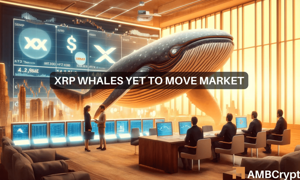XRP whales add $55 million, but the price falls again – What’s happening?
