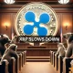 Will XRP fall below $0.51? Here's why the next 7 days are important
