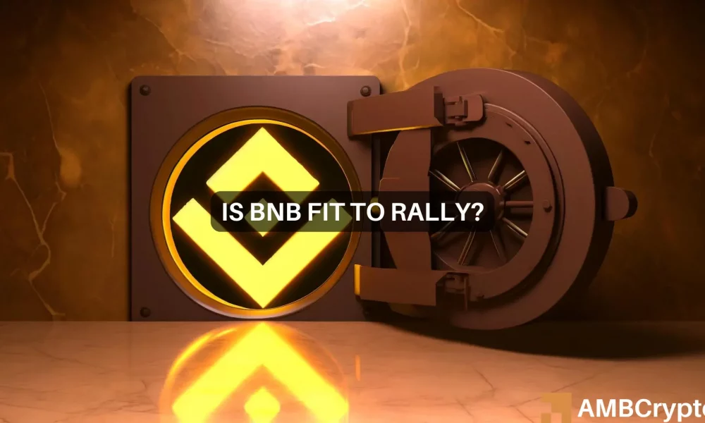 Anstieg des BNB Chain DEX-Volumens – Untersuchen Sie, was dies für den BNB-Preis bedeutet