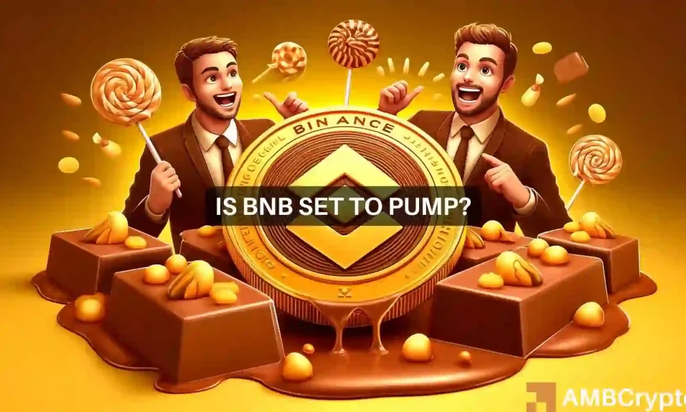 Binance Coin: Waarom zullen de komende twee weken interessant zijn voor BNB?