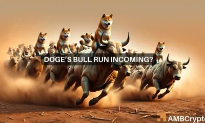 DOGE ready to embark on a bull run
