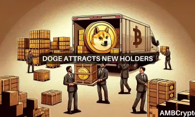 Dogecoin's 'big boys' are buying: Should you do the same?