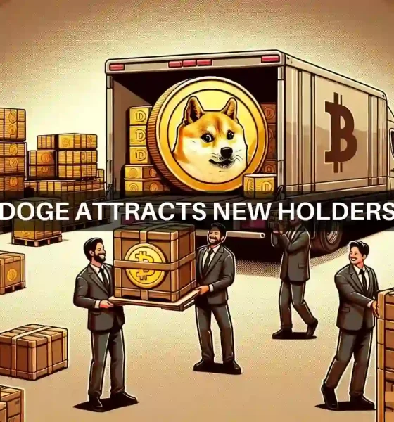 Dogecoin's 'big boys' are buying: Should you do the same?