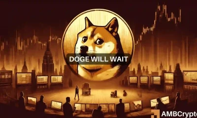 Dogecoin news