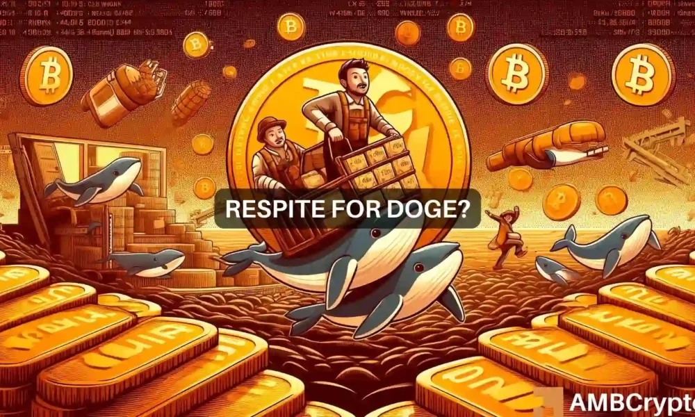 Las ballenas Dogecoin gastan 100 millones de dólares en DOGE: ¿Habrá un encierro a continuación?
