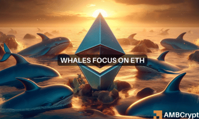 Why Ethereum's whale holdings increased 27% in 14 months