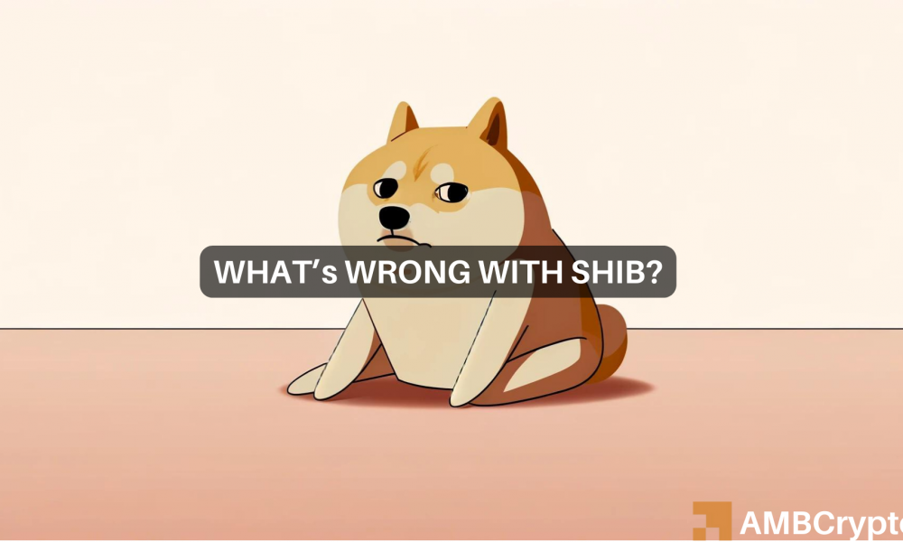 Shiba Inu: Shibarium Transactions Decrease Significantly: Will This Affect SHIB?