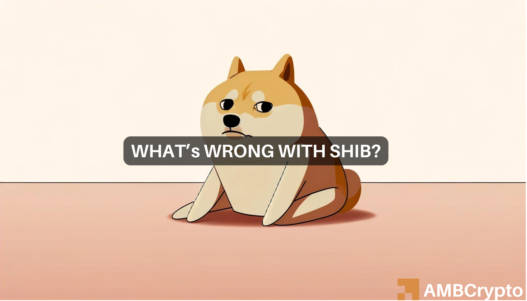 Shiba Inu: Shibarium transactions decline massively: Will it affect SHIB?