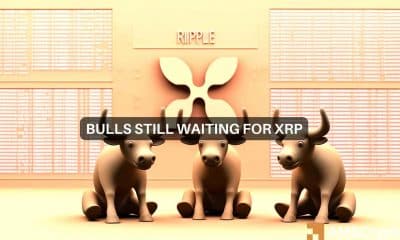 XRP : Decoding what's next - Do bulls still stand a chance?