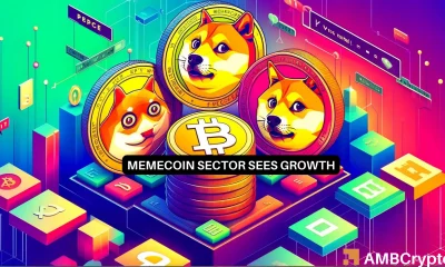 WIF, PEPE DOGE dominate as memecoins surge 114%: What's next?