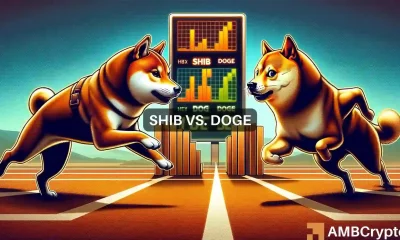 SHIB beats DOGE in 24 hours: Is this the start of a new dawn?