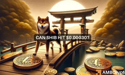 Shiba Inu news