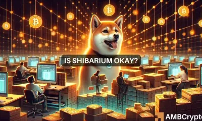 Good news for Shiba Inu? Shibarium block count nears 5 million