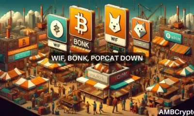 WIF, BONK, and POPCAT news