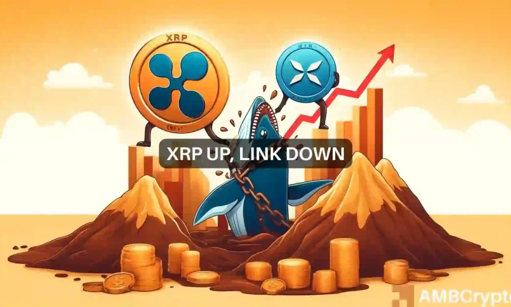 XRP, LINK whales switch sides: What’s going on?