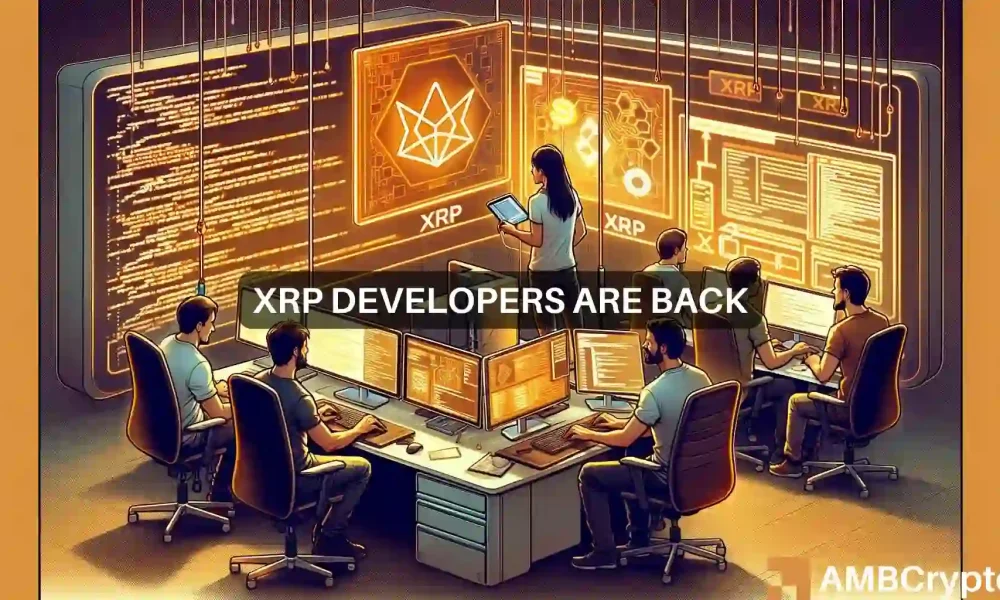 ما الذي يخبئه XRP مع تسارع نشاط تطوير XRPL؟