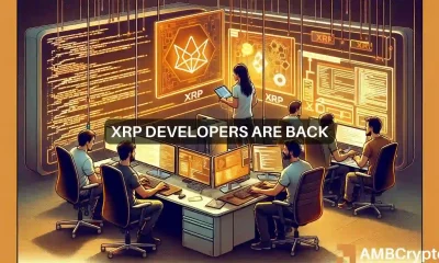 What's in store for XRP as XRPL development activity picks up pace?