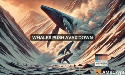 AVAX plunges amidst suspicious whale transactions: What now?