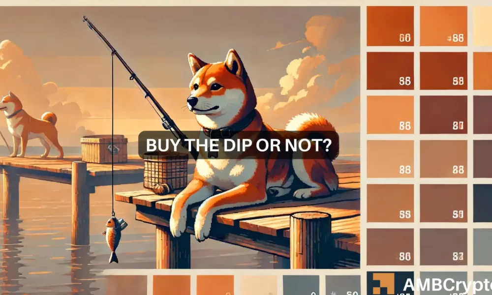 BONK – Should you wait to buy the dip? Memecoin’s price will…