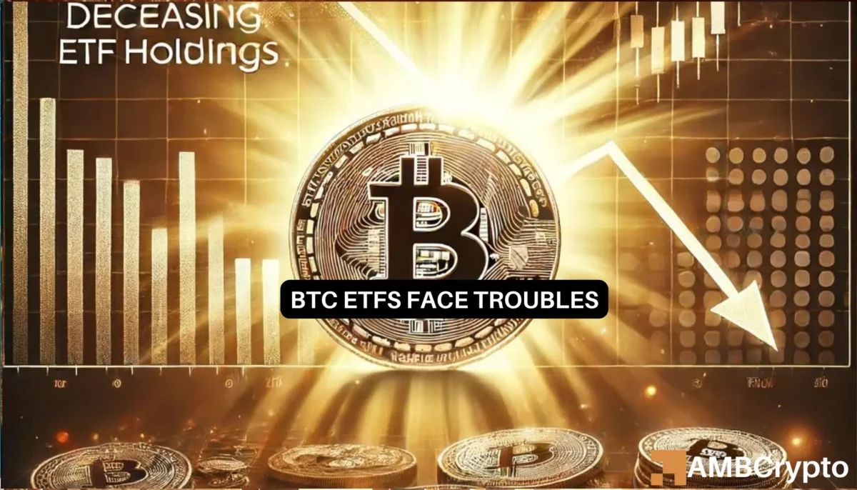 Bitcoin ETF holdings dip: What does it mean for BTC's future?
