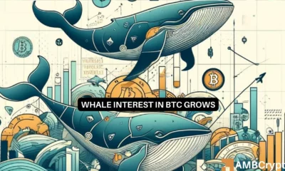 BTC whale