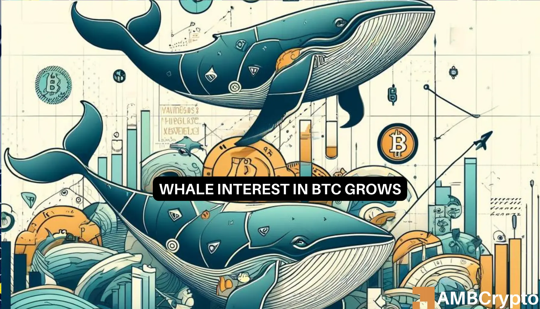 Bitcoin: Record high BTC accumulation by whales, will prices follow?