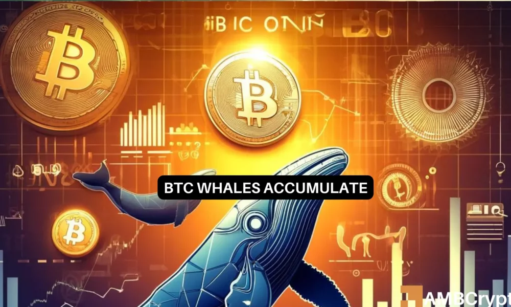 Bitcoin: Big Investors Move In – What Does BTC's Future Hold?